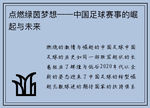 点燃绿茵梦想——中国足球赛事的崛起与未来